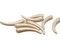 8 53mm Vintage Ivory Colored Pointy Tooth Beads Or Plastic Claw Beads